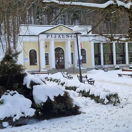 Apartment Dusznickie Z Widokiem