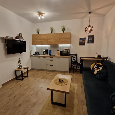 Appartamento Dusznickie Z Widokiem Duszniki Zdrój