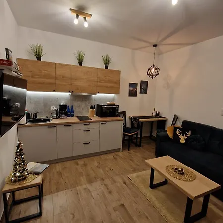 Dusznickie Z Widokiem Apartment Duszniki Zdrój
