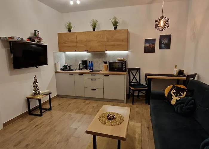 Appartamento Dusznickie Z Widokiem Duszniki Zdrój