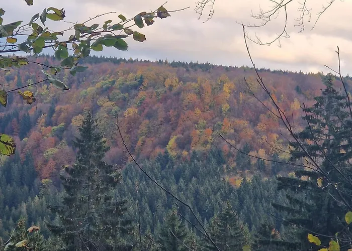 Dusznickie Z Widokiem *